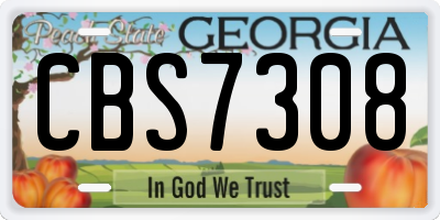 GA license plate CBS7308