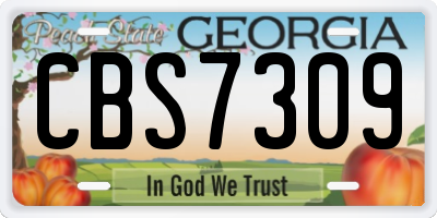GA license plate CBS7309