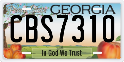 GA license plate CBS7310