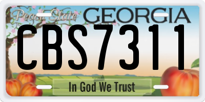 GA license plate CBS7311