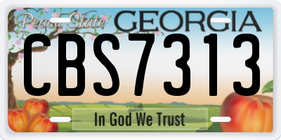 GA license plate CBS7313