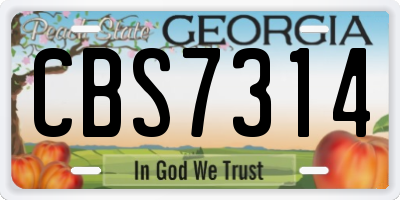 GA license plate CBS7314
