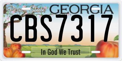 GA license plate CBS7317