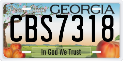 GA license plate CBS7318
