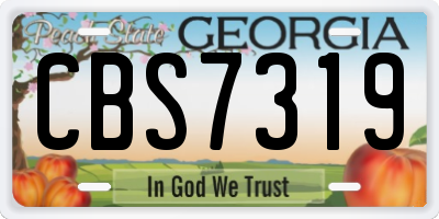 GA license plate CBS7319