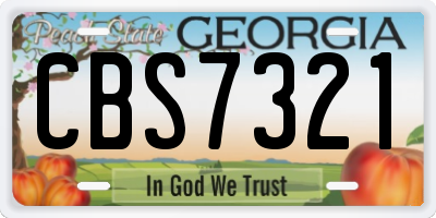 GA license plate CBS7321