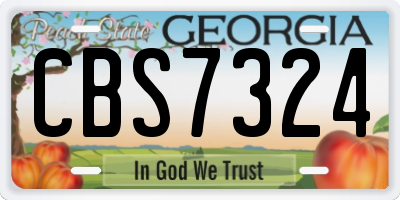GA license plate CBS7324