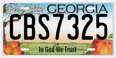 GA license plate CBS7325