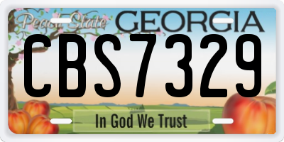 GA license plate CBS7329
