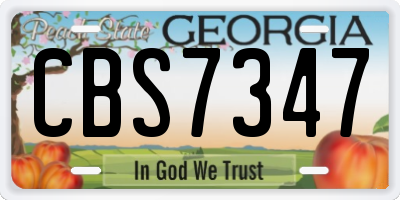 GA license plate CBS7347