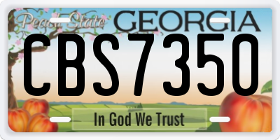 GA license plate CBS7350