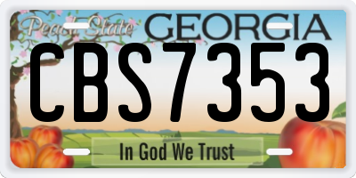 GA license plate CBS7353