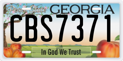 GA license plate CBS7371