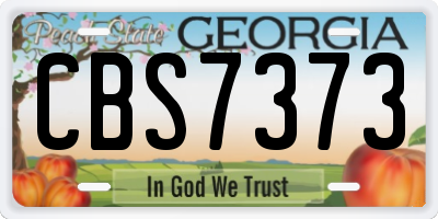 GA license plate CBS7373