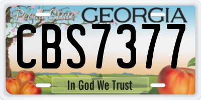 GA license plate CBS7377