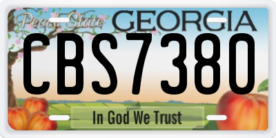 GA license plate CBS7380