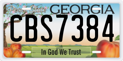 GA license plate CBS7384