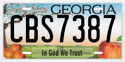 GA license plate CBS7387