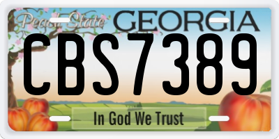 GA license plate CBS7389