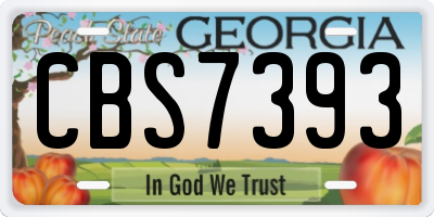 GA license plate CBS7393
