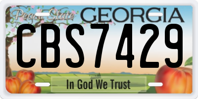 GA license plate CBS7429