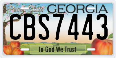 GA license plate CBS7443