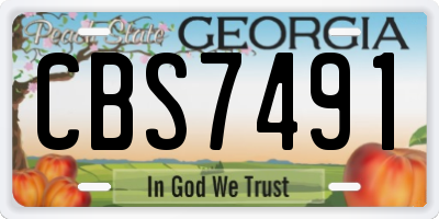 GA license plate CBS7491