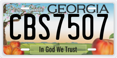 GA license plate CBS7507