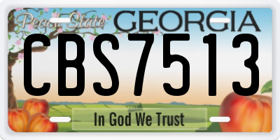GA license plate CBS7513