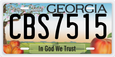 GA license plate CBS7515