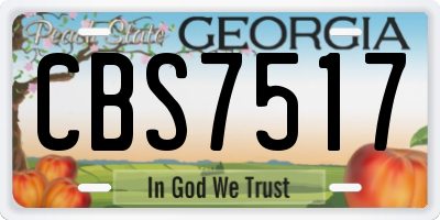 GA license plate CBS7517