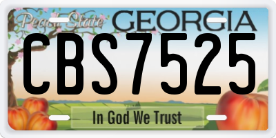 GA license plate CBS7525