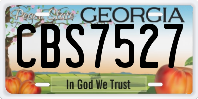 GA license plate CBS7527