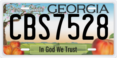 GA license plate CBS7528