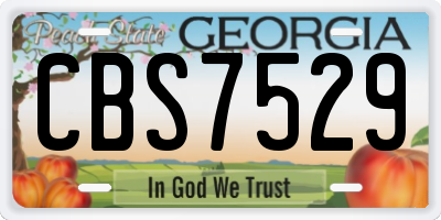 GA license plate CBS7529