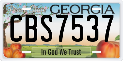 GA license plate CBS7537