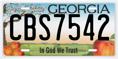 GA license plate CBS7542