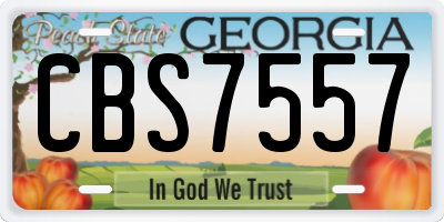 GA license plate CBS7557