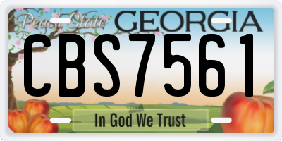 GA license plate CBS7561