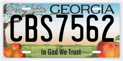 GA license plate CBS7562