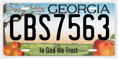 GA license plate CBS7563