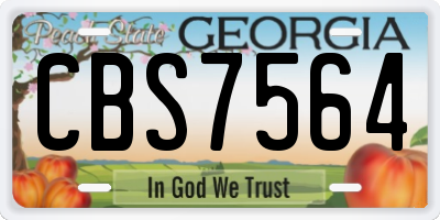 GA license plate CBS7564