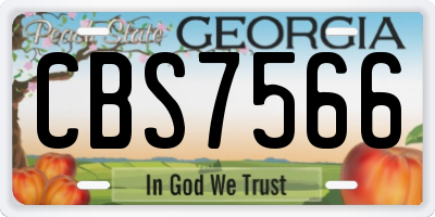 GA license plate CBS7566