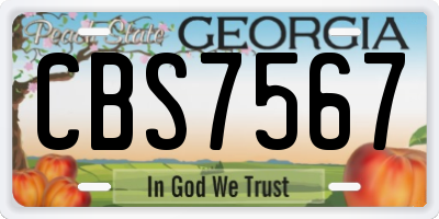 GA license plate CBS7567