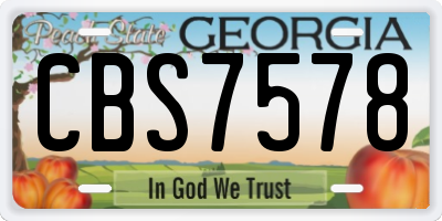 GA license plate CBS7578