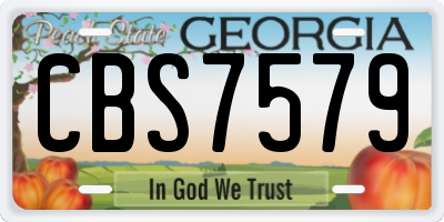 GA license plate CBS7579