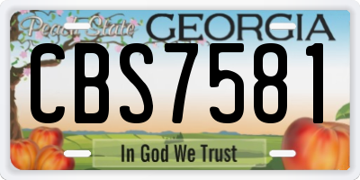 GA license plate CBS7581