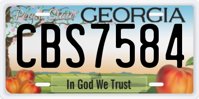 GA license plate CBS7584