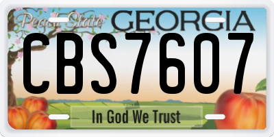 GA license plate CBS7607