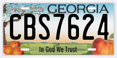 GA license plate CBS7624